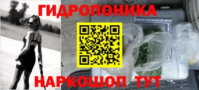 гашик Кинель