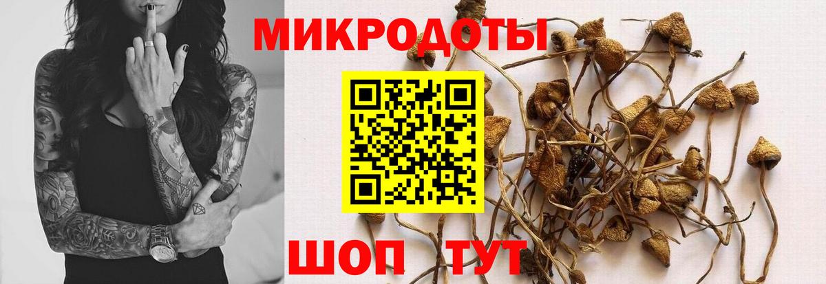 Галлюциногенные грибы Magic Shrooms  Вход с VPN  Клинцы 